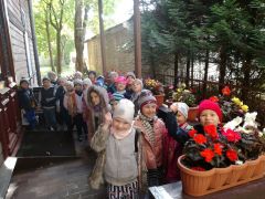 większy obrazek nr 10