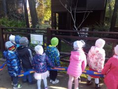 większy obrazek nr 3