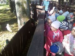 większy obrazek nr 4