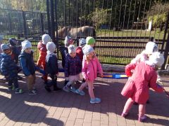 większy obrazek nr 5