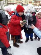 ilustracja do wpisu 
TYGRYSKI - dbają o ptaki zimą