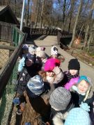 ilustracja do wpisu 
KRÓLICZKI - wycieczka do ZOO