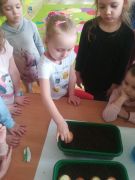 ilustracja do wpisu 
KRÓLICZKI - sadzenie cebuli