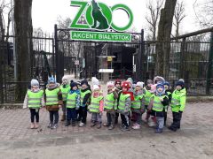 ilustracja do wpisu 
TYGRYSKI - wycieczka do ZOO
