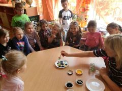 ilustracja do wpisu 
MĄDRE SÓWKI - eksperyment ,, Mleczny wir''