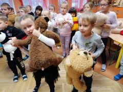 ilustracja do wpisu 
DZIEŃ PLUSZOWEGO MISIA