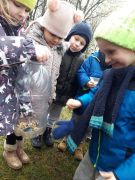 ilustracja do wpisu 
KRÓLICZKI - dokarmiają ptaki zimą