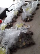 ilustracja do wpisu 
AKCJA ,, GÓRA GROSZA" ZAKOŃCZONA