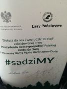 większy obrazek nr 1