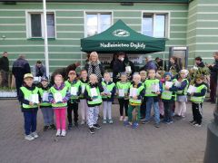 większy obrazek nr 8