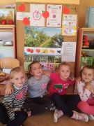 większy obrazek nr 8