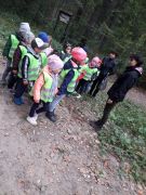 ilustracja do wpisu 
KŁAPOUSZKI - wycieczka do Nadleśnictwa Dojlidy