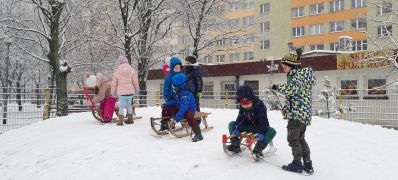 ilustracja do wpisu 
KRÓLICZKI - zimowe zabawy na saneczkach