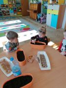 ilustracja do wpisu 
MALEŃSTWA - zakładają zielony ogródek