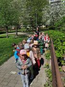 ilustracja do wpisu 
TYGRYSKI - na wiosennej łące