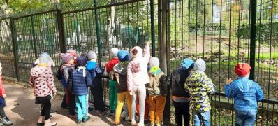 ilustracja do wpisu 
MĄDRE SÓWKI - spacer do parku i ZOO