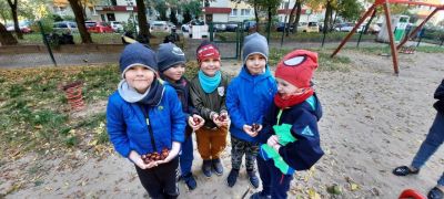 ilustracja do wpisu 
MĄDRE SÓWKI - plac zabaw