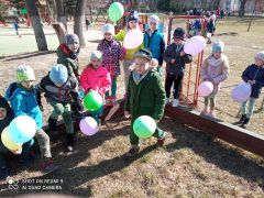 większy obrazek nr 2