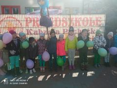 większy obrazek nr 5