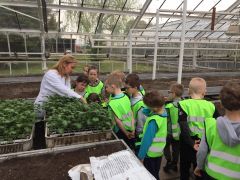 ilustracja do wpisu 
KŁAPOUSZKI - wycieczka do laboratorium