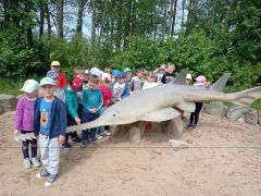 większy obrazek nr 4