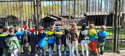 ilustracja do wpisu 
MĄDRE SÓWKI - wycieczka do ZOO