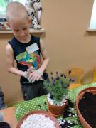 ilustracja do wpisu 
GRUPA Z UKRAINY -,, Dzieciaki sadzeniaki"