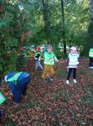 ilustracja do wpisu 
MĄDRE SÓWKI -,, W poszukiwaniu jesieni" spacer do parku