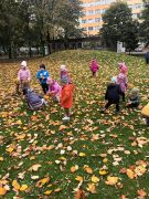 większy obrazek nr 5