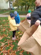 ilustracja do wpisu 
KŁAPOUSZKI - udział w akcji ,, Ratujmy kasztanowce"