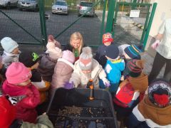 ilustracja do wpisu 
TYGRYSKI - akcja ,,Zielone ogrody"