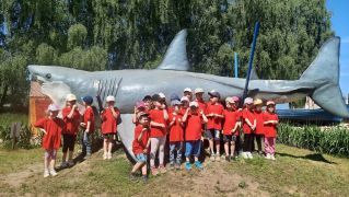 ilustracja do wpisu 
KRÓLICZKI - wycieczka do Parku Edukacyjno - Rekreacyjnego