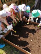 ilustracja do wpisu 
KRÓLICZKI - praca w ogródku