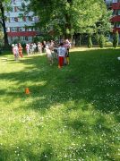 większy obrazek nr 6