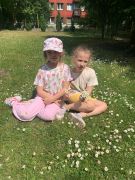 większy obrazek nr 6