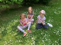 większy obrazek nr 7