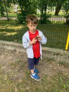 większy obrazek nr 13