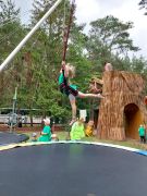 większy obrazek nr 12