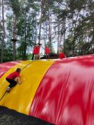 większy obrazek nr 23