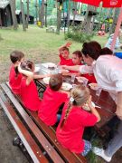 większy obrazek nr 25