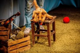 większy obrazek nr 4