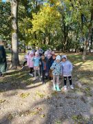 większy obrazek nr 5