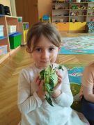 dziewczynka trzyma w ręku kalarepę