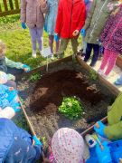 dzieci stoją naokoło ogrodu