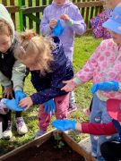 dziewczynka ogląda nasiona 