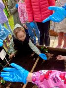 dziewczynka sadzi nasiona do ziemi