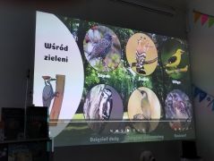 Prezentacja na temat ptaków