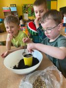 Dzieci sadzą owies.