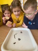 Dzieci obserwują dżdżownicę.