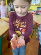 Dziewczynka trzyma w rękach dżdżownicę.